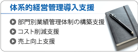 体系的経営管理導入支援